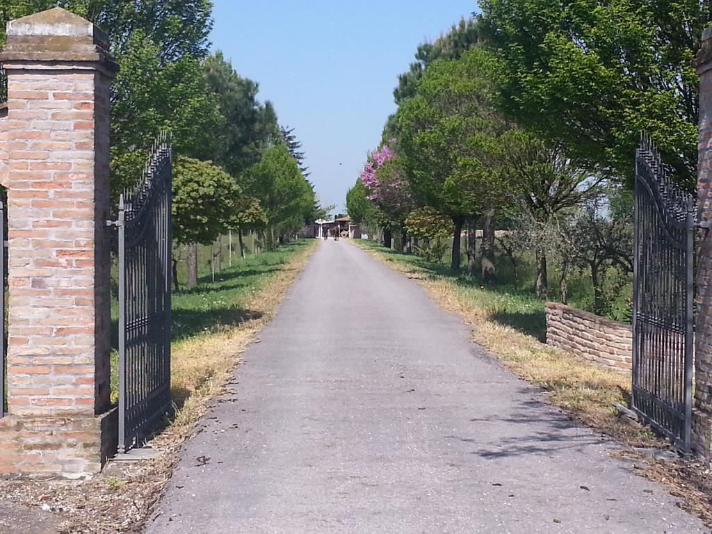 Agriturismo L'Angelina Villa Alfonsine Luaran gambar