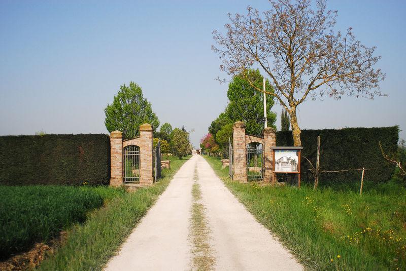 Agriturismo L'Angelina Villa Alfonsine Luaran gambar